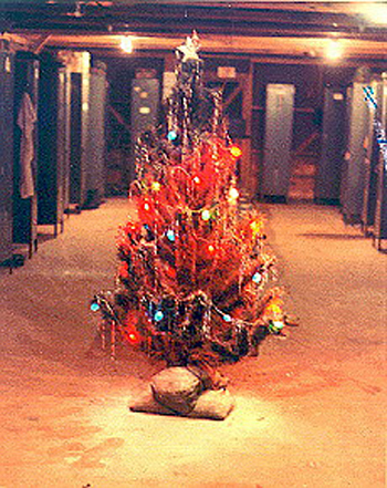 Christmas tree in an infantry hooch, Dau Tieng, 1969
